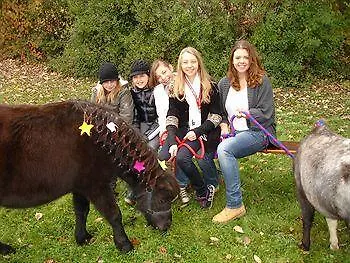 Sport Und Familiendorf Glocknerhof Stamsried
